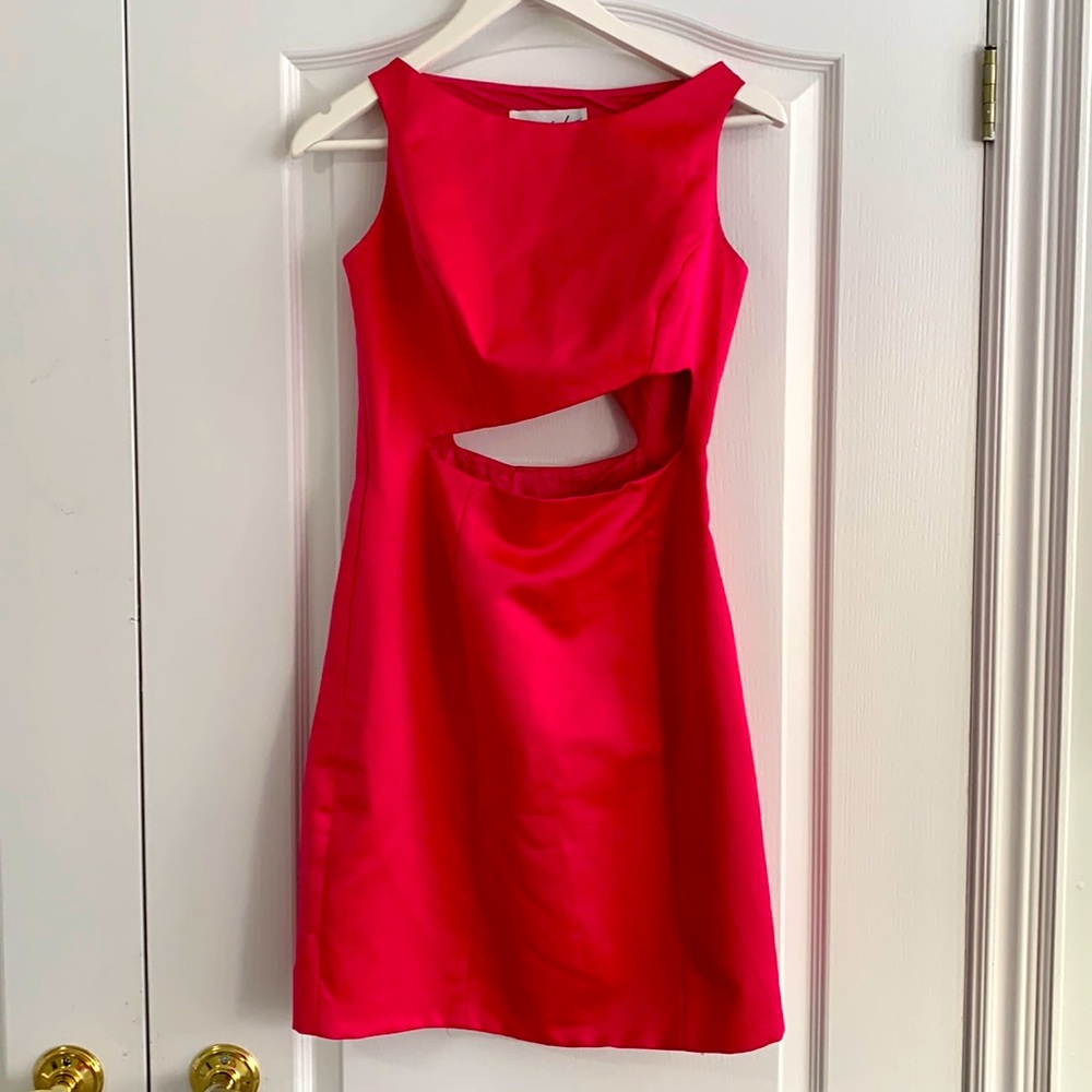 Linda Segal Pink Cutout Dress 💕